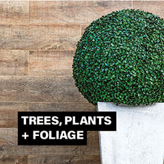 Evolution Furniture - Trees and Plants to rent in uae